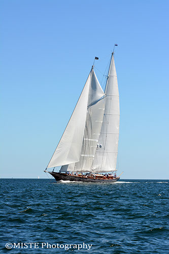 MISTE-2013NPTBucket (20)