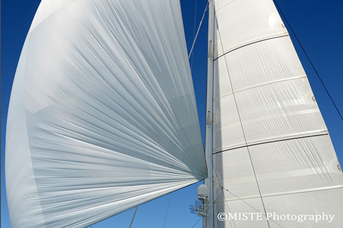 MISTE-2013NPTBucket (14)