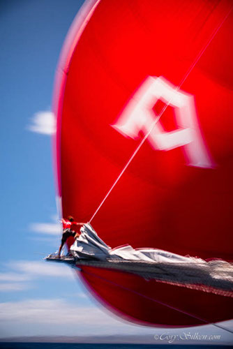 silken_2015-03-20-1667