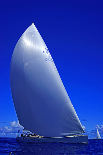 Visione Ed  Gudenas2