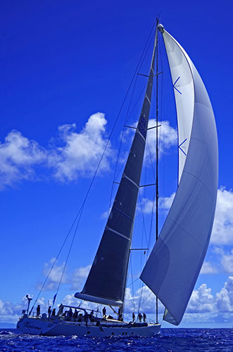 Visione Ed Gudenas 1